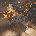 Atlas Transluzent