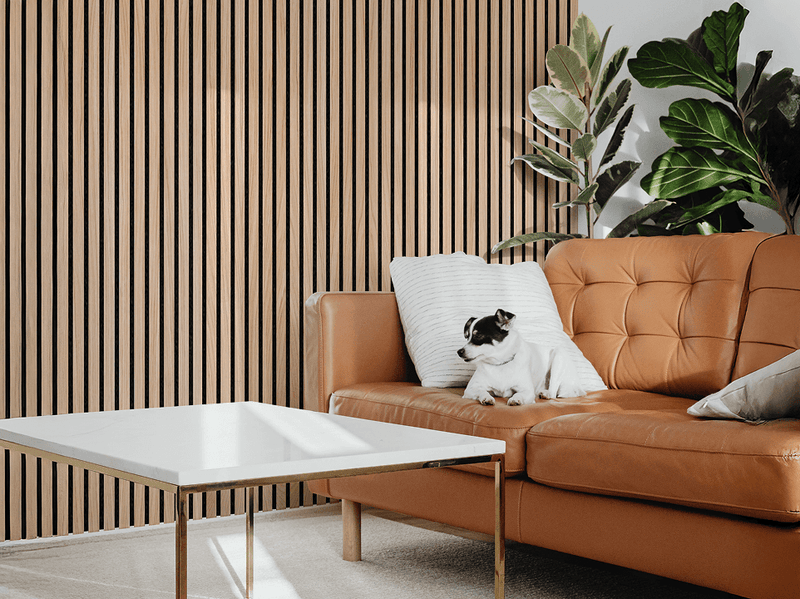 After - Ambientes Mais Aconchegantes e Com Menos Eco
